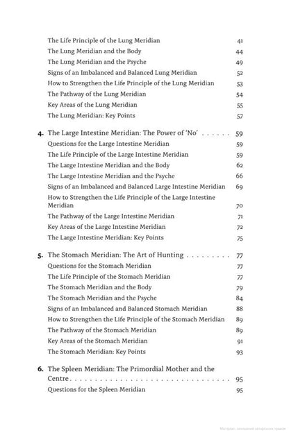 Meridians. Maps of the Soul / Meridians. Maps of the Soul Майк Мандл 9781839976711-3