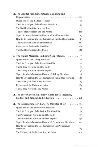 Meridians. Maps of the Soul / Meridians. Maps of the Soul Майк Мандл 9781839976711-5