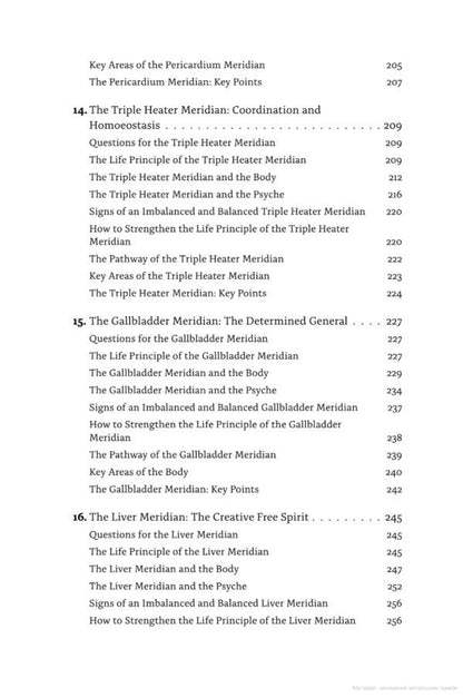 Meridians. Maps of the Soul / Meridians. Maps of the Soul Майк Мандл 9781839976711-6