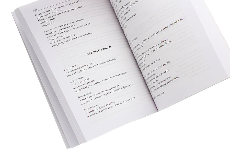 Message out of the way. Translations from 20th century Persian poetry / Послание с пути. Переводы из персидской поэзии ХХ века Виктор Полещук -5