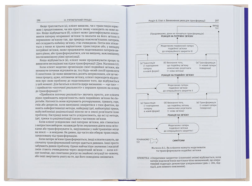 Metaphorical Mind / Метафоричний Розум James Lawley, Penny Tompkins / Джеймс Лоулі, Пенні Томпкінс 9786179522796-4