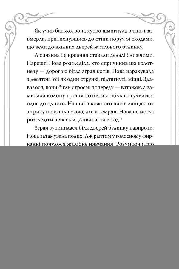 Midnight cats. Book 1. School of felidics / Опівнічні коти. Книга 1. Школа фелідіксів Барбара Лабан 978-617-8373-27-6-5