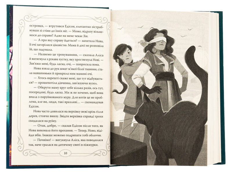 Midnight cats. Book 3. King of the Lords of the Feathers / Опівнічні коти. Книга 3. Король Володарів Пір’їн Барбара Лабан 978-617-8426-21-7-5