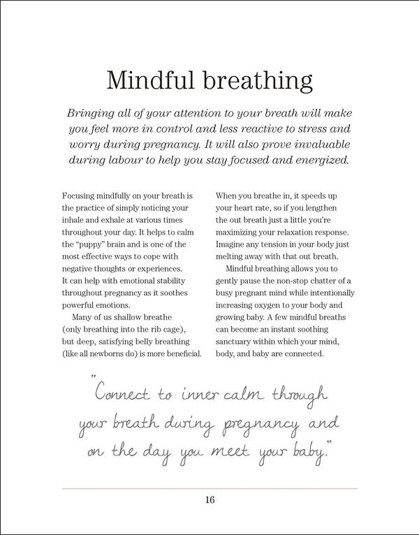 Mindful Pregnancy. Meditation, Yoga, Hypnobirthing, Natural Remedies, And Nutrition. Trimester By Trimester Tracy Donegan / Трейси Донеган 9780241410516-2