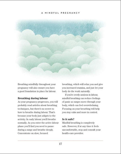 Mindful Pregnancy. Meditation, Yoga, Hypnobirthing, Natural Remedies, And Nutrition. Trimester By Trimester Tracy Donegan / Трейси Донеган 9780241410516-3