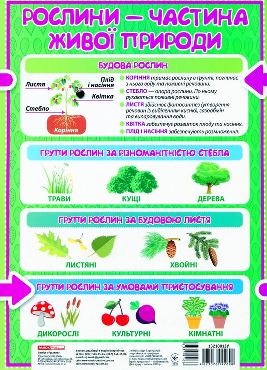 Mini-lapbook. Plants / Міні-лепбук. Рослини  -2