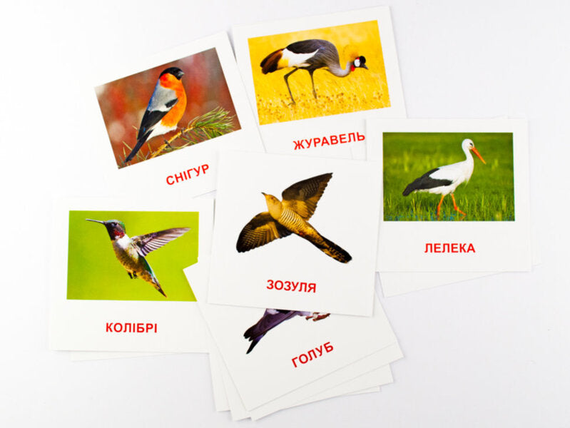 Mini Cards.Birds / Картки міні. Птахи / Author not specified 9789663338170-3