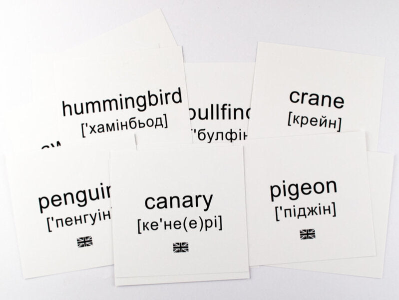 Mini Cards.Birds / Картки міні. Птахи / Author not specified 9789663338170-4