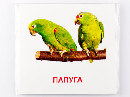 Mini Cards.Birds / Картки міні. Птахи / Author not specified 9789663338170-5