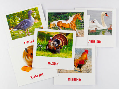 Mini Cards. Family Animals / Картки міні. Свійські тварини / Author not specified 4826176340032-2