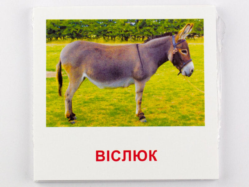Mini Cards. Family Animals / Картки міні. Свійські тварини / Author not specified 4826176340032-4