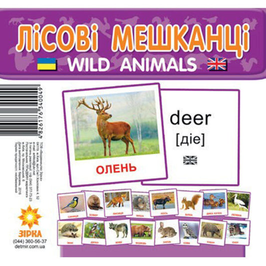 Mini Cards. Forest Residents / Картки міні. Лісові мешканці / Author not specified 4826176340049-1