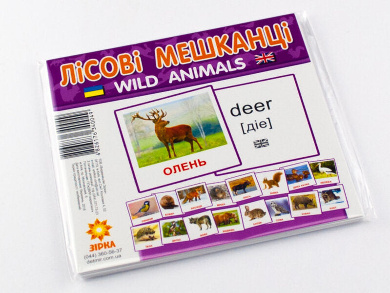 Mini Cards. Forest Residents / Картки міні. Лісові мешканці / Author not specified 4826176340049-2