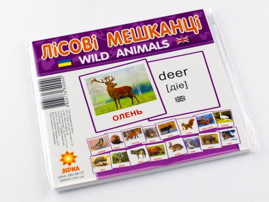 Mini Cards. Forest Residents / Картки міні. Лісові мешканці / Author not specified 4826176340049-2