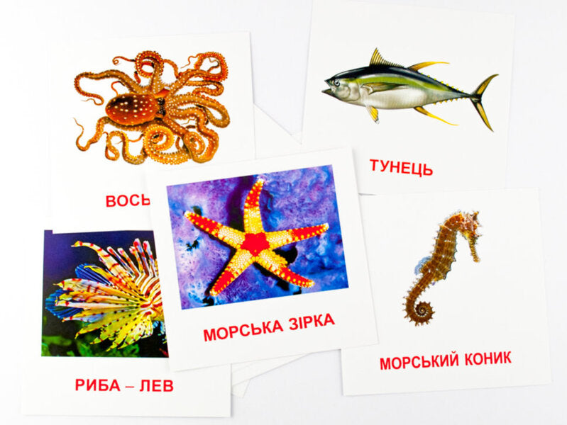Mini Cards. Marine Inhabitants / Картки міні. Морські жителі / Author not specified 9789663336053-3