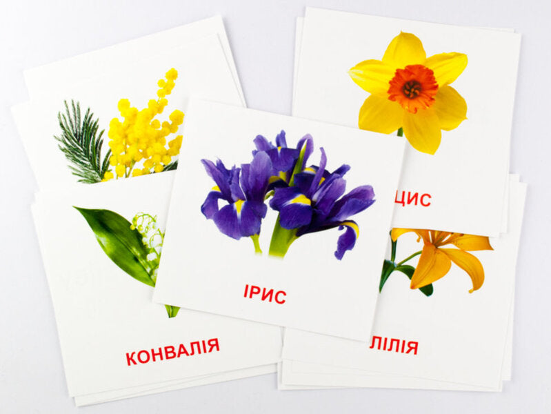Mini Cards Flowers - Картки мн Квти - Author not specified 9789663336930-2