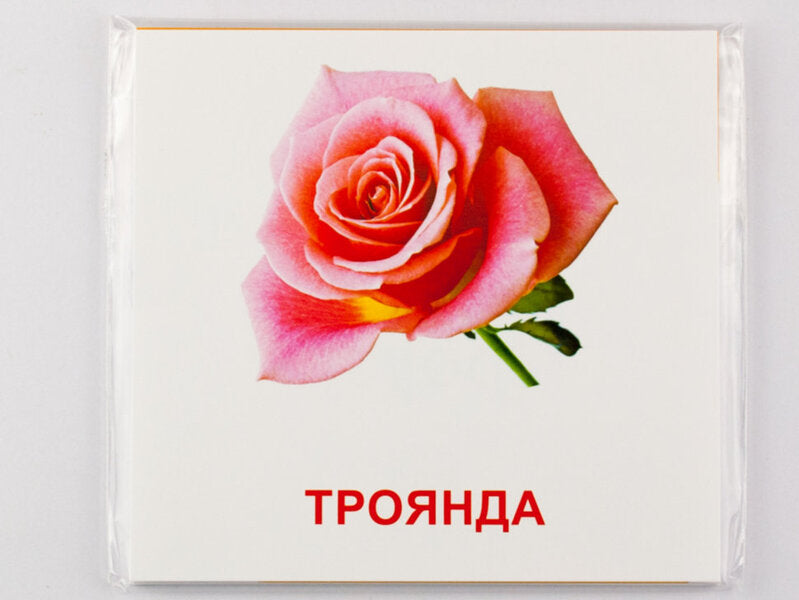 Mini Cards Flowers - Картки мн Квти - Author not specified 9789663336930-3