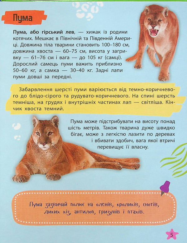 Mini encyclopedia.Fauna / Мініенциклопедія. Тваринний світ  978-966-982-726-5-5