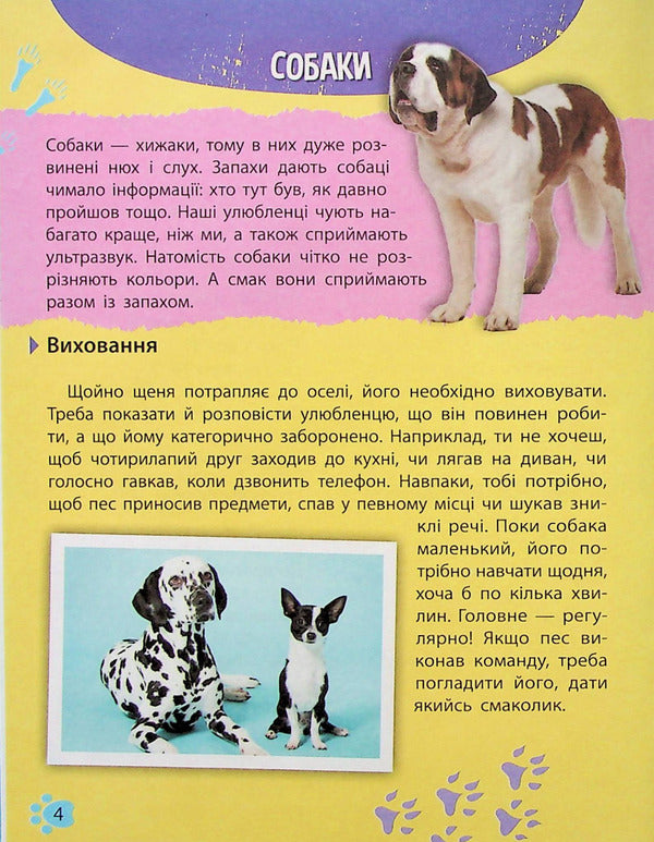 Mini encyclopedia.Pets / Мініенциклопедія. Хатні улюбленці  978-966-982-724-1-4