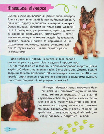 Mini encyclopedia.Pets / Мініенциклопедія. Хатні улюбленці  978-966-982-724-1-6