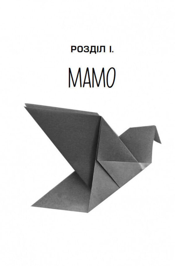 Mom, your son is an airplane / Мамо, твій син — літак Александр Козинец 9789664417331-5