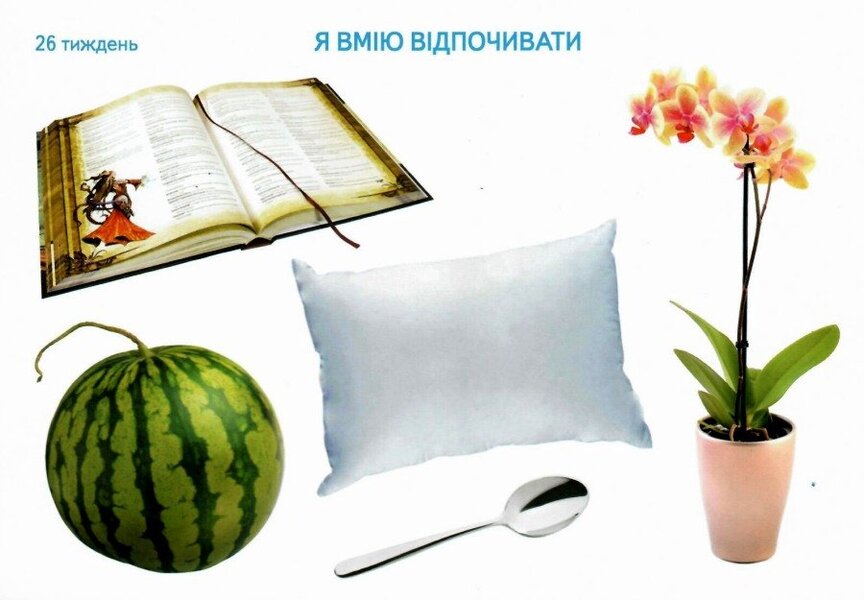 Morning meetings. Thematic weeks. Set of cards / Ранкові зустрічі. Тематичні тижні. Комплект карток Алла Сухина 9789667492922-6