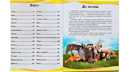 Mothers and babies / Мами та малюки Нелли Малеваная 978-966-947-260-1-3