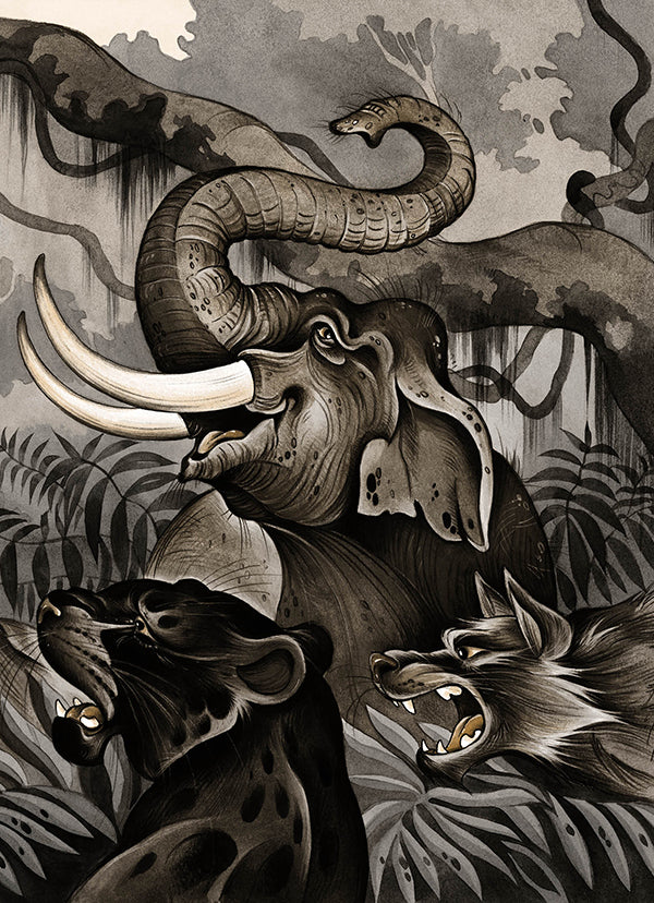 Mowgli - Маугл Rudyard Kipling - Редьярд Кплнг 9786178248857-3