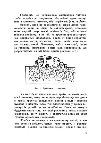 Mushrooms And Their Processing Reprint Edition - Гриби та х перербка Репринтне видання Teodor Fotynyuk - Теодор Фотинюк 9789668086304-6