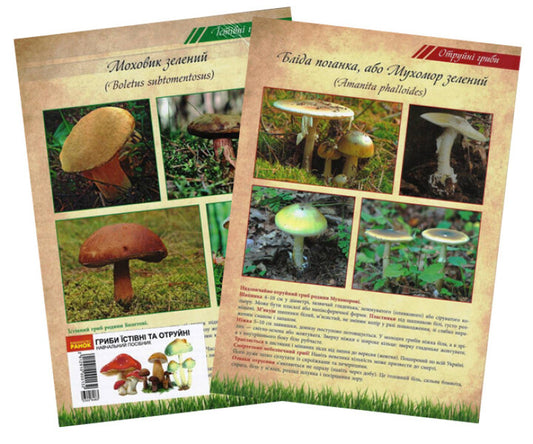 Mushrooms are edible and poisonous. Tutorial / Гриби їстівні та отруйні. Навчальний посібник  2912910000132-1