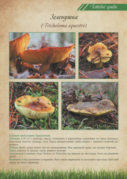 Mushrooms are edible and poisonous. Tutorial / Гриби їстівні та отруйні. Навчальний посібник  2912910000132-5