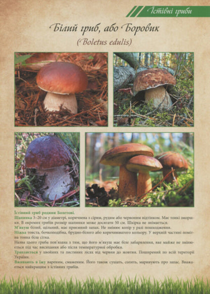 Mushrooms are edible and poisonous. Tutorial / Гриби їстівні та отруйні. Навчальний посібник  2912910000132-6