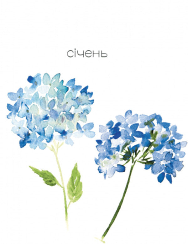 My Blooming Year. 2022 / Мій квітучий рік. 2022 Maryana Savka / Мар'яна Савка 9786176799566-4