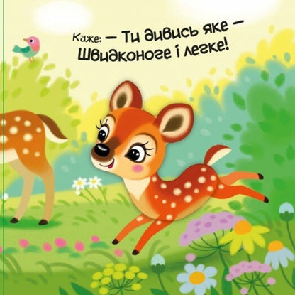 My Dear Wolf / Моє любе вовченя Irina Solnyshko / Ірина Сонечко 9786170992284-5