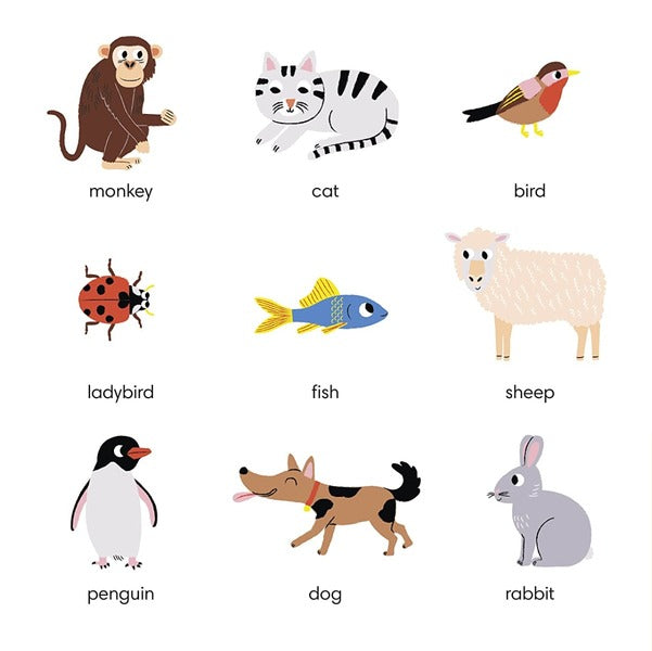 My First 100 Words / My First 100 Words  9780241548998-2