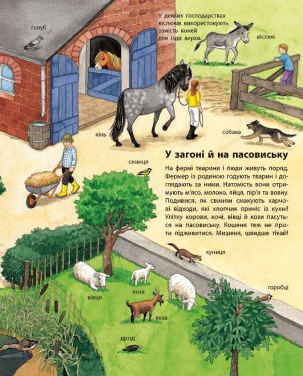 My First Illustrated Encyclopedia Animals - Моя перша мальована енциклопедя Тварини Suzanne Genheuser - Сюзанне Генхойзер 9786170999580-3