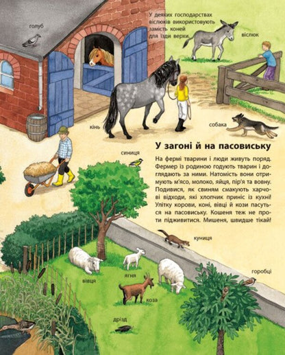My First Illustrated Encyclopedia Animals - Моя перша мальована енциклопедя Тварини Suzanne Genheuser - Сюзанне Генхойзер 9786170999580-3