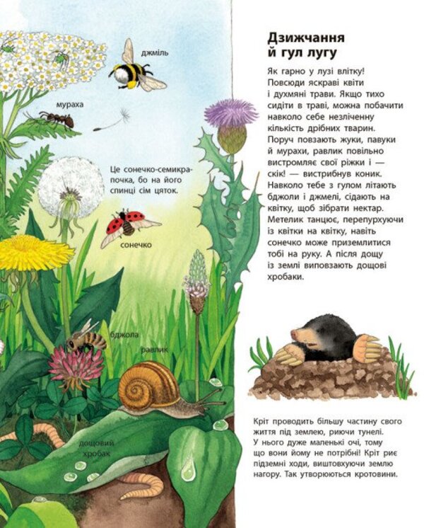 My First Illustrated Encyclopedia Animals - Моя перша мальована енциклопедя Тварини Suzanne Genheuser - Сюзанне Генхойзер 9786170999580-5
