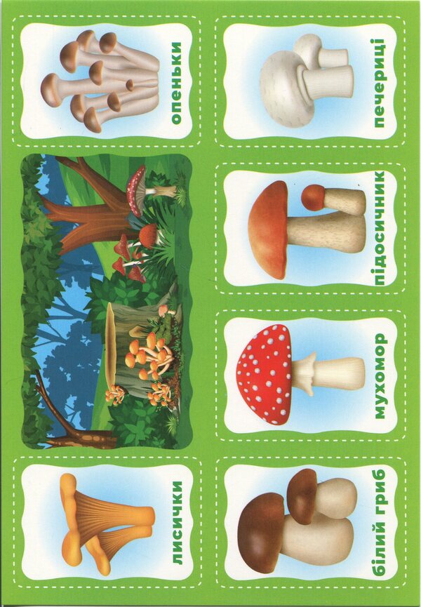 My First Lotto. We Study The Plants / Моє перше лото. Вивчаємо рослини / Author not specified 4823077588990-6
