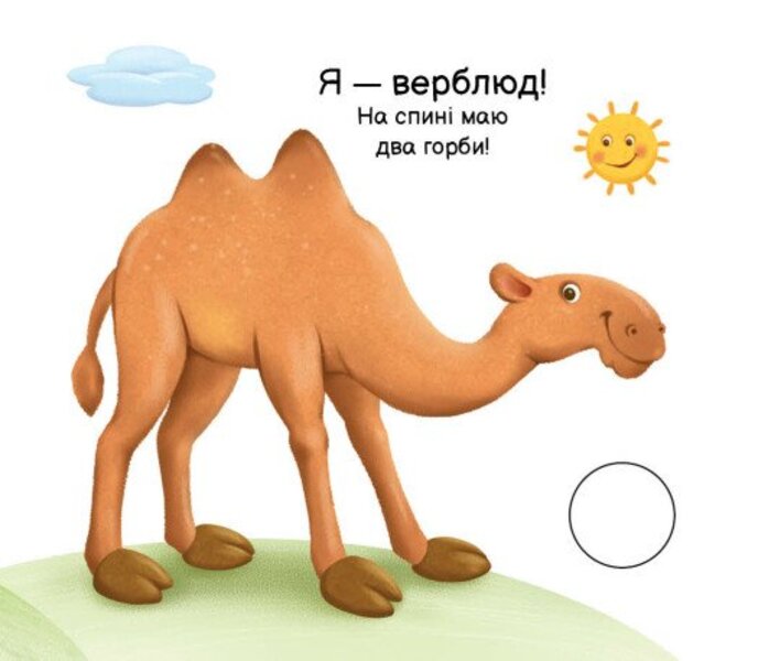 My Folding Book. Animals Of The World / Моя книжка-розкладайка. Тварини світу Nadezhda Myroshnychenko / Надія Мірошниченко Does not apply-5
