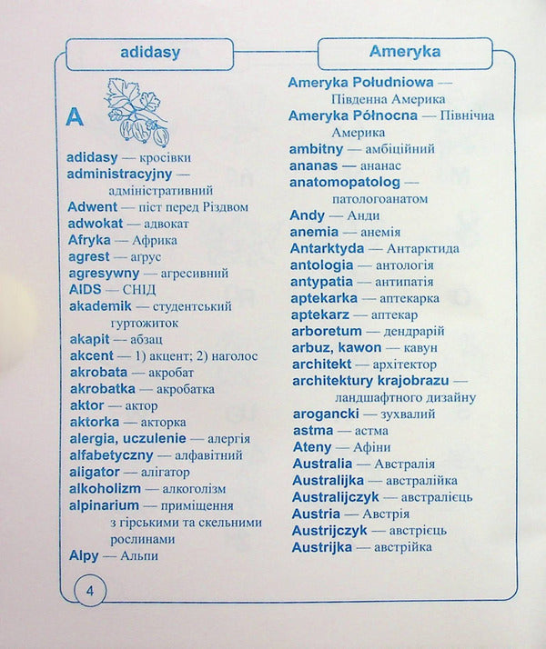 My Polish dictionary. 5-9 grades / Мій словник з Польської мови. 5-9 класи Вита Мастиляк 978-966-07-4088-4-5