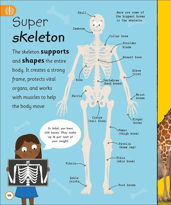 My Very Important Human Body Encyclopedia / My Very Important Human Body Encyclopedia  978-0-2415-8495-8-3