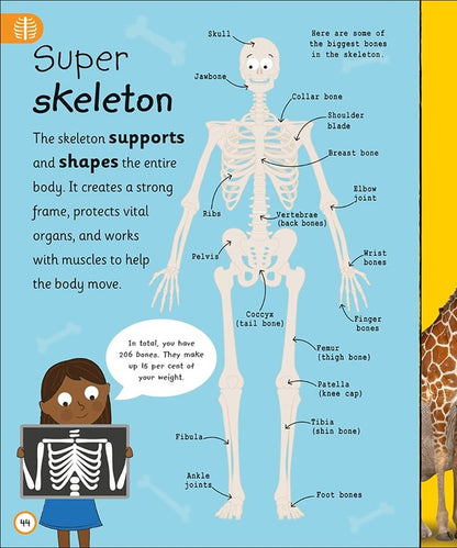 My Very Important Human Body Encyclopedia / My Very Important Human Body Encyclopedia  978-0-2415-8495-8-3