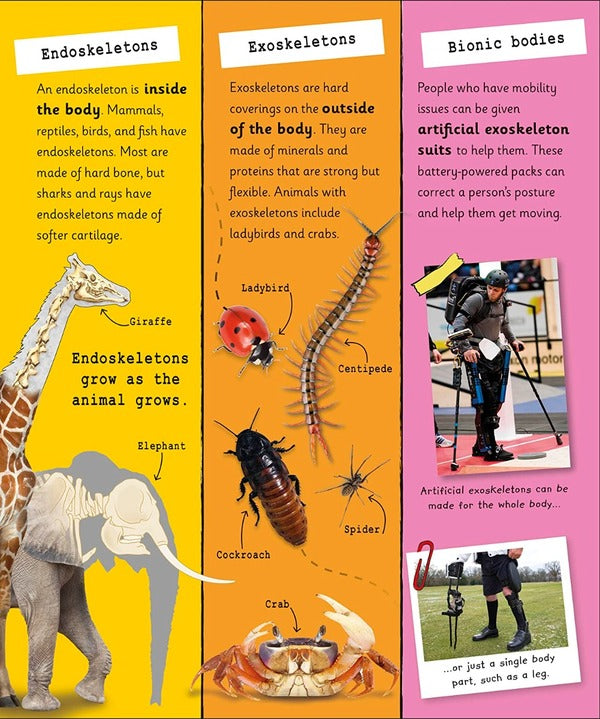 My Very Important Human Body Encyclopedia / My Very Important Human Body Encyclopedia  978-0-2415-8495-8-4