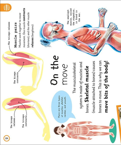 My Very Important Human Body Encyclopedia / My Very Important Human Body Encyclopedia  978-0-2415-8495-8-5