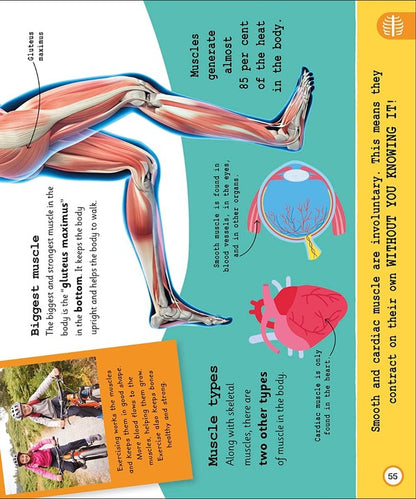 My Very Important Human Body Encyclopedia / My Very Important Human Body Encyclopedia  978-0-2415-8495-8-6