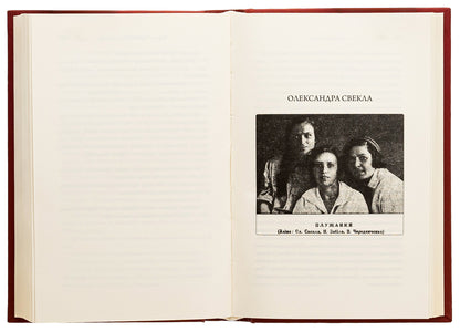 My career. Women's prose of the 20s / Моя кар'єра. Жіноча проза 20-х років Ярина Цымбал, Мария Галич, Галина Орливна, Варвара Черидниченко, Александра Свекла 9786175693100-6