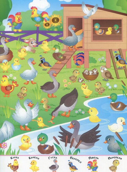 My first Wimmelbuch.Fun farm / Мій перший Віммельбух. Весела ферма  978-966-947-227-4-6