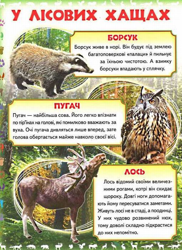My first book.About wild animals / Моя перша книга. Про диких тварин  9789669135315-3