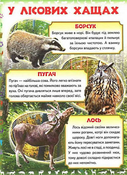 My first book.About wild animals / Моя перша книга. Про диких тварин  9789669135315-3